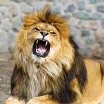 Harold Jonas - @haroldjonas012 - Instagram