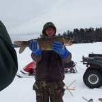 Harold Joyce - @harold.joyce777 - Instagram