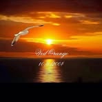 Joyce Harold - Facebook