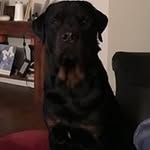 Harold Justus Jr. - @juice6823 - Instagram