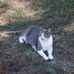 Harold Kaiser - Facebook