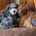 Harold Kellermann - Facebook