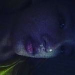 harold - @haroldlowkeys - Instagram
