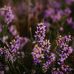 Harold Kimbrough - Facebook