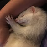 Harold_and_Kumar - @harold_kumar_ - Instagram