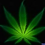 Haroldkumar420 - @haroldkumar420 - Instagram