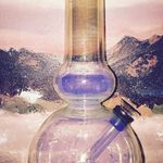 Harold Plemongranate - @harold.plemongranate - Instagram