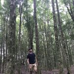 Harold Lim - @harold_lwh - Instagram