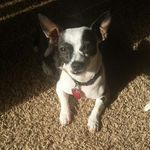 harold linkletter - @haroldlinkletter - Instagram