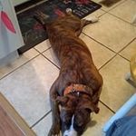 Harold Lyons - @harold.lyons.370 - Instagram