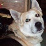 Harold Macdonald - @harold.macdonald.752 - Instagram
