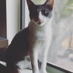 Harold and Maude - @maudey_magoo_and_harold_too - Instagram
