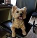 Harold Masters - Facebook