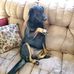 Harold L Masterson - Facebook