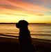 Harold Mchenry - Facebook