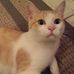 Harold McHenry - Facebook