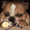 haroldmoonen - @haroldmoonen - TikTok