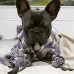 harold cherno motters - @_harold_motters - Instagram