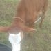Harold Moya - Facebook