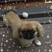 Harold William Murdock - Facebook
