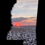Harold Neese - Facebook