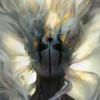 Harold Neff - @haroldneff_1372 - TikTok