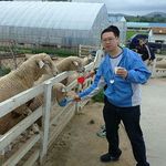 Harold Ng - @ngkahoharold - Instagram