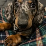Harold Noble - @hi_its_me_harold - Instagram