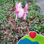 Harold Norris - @harold.norris.5070 - Instagram