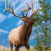 Harold Norris - Facebook