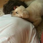 H - @haroldnott - Instagram