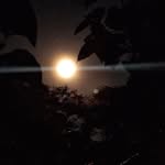 Harold Nulla - @haroldnulla - Instagram
