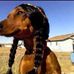 Harold Norunn - Facebook