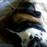 Harold Nutter - @haroldnutter - Instagram