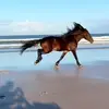 HaroldObrien467 - @haroldobrien467 - TikTok