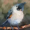 Harold Ochoa865 - @haroldochoa3 - TikTok