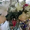 Harold Ogden805 - @haroldogden805 - TikTok