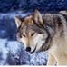 Harold Olds - Facebook