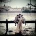 Anna Harold - Facebook