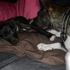 Hi❤️ - @harold.oreo - TikTok