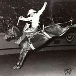 Harold Ottley - @ottleyharold - Instagram