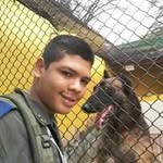 Harold Paez - @haroldpaezf - Instagram