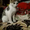 harroldparrot - @harroldparrot - TikTok