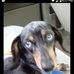 Harold Parton - Facebook