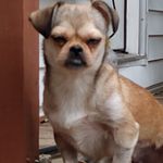 Harold poston - @poston.harold - Instagram