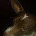 Harold Prater - Facebook