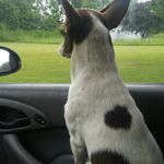 Harold Prater - @praterharold - Instagram