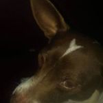 Harold Prater - @haroldprater - Instagram