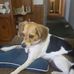 Harold Quick - Facebook
