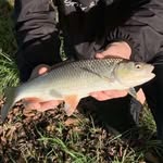 Harold_Quick - @harold.fishing.uk - Instagram